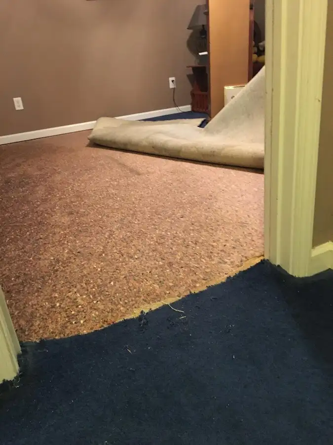 Carpet pad removal revealing water damage during Water Mitigation Services in Nolensville