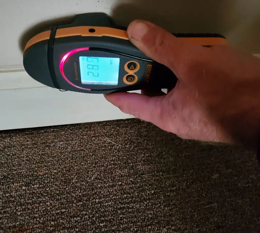 Moisture detection at baseboard during Sewage Cleanup & Sanitation in Nolensville